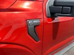 2023 F-150 Thumbnail 11