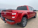 2023 F-150 Thumbnail 5