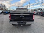 2023 F-150 Thumbnail 4