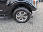 2023 F-150 Thumbnail 9