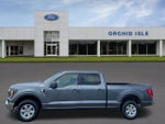 2023 F-150 Thumbnail 1
