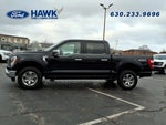 2023 F-150 Thumbnail 4