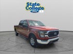 2023 F-150 Thumbnail 3