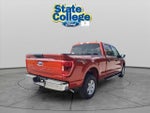 2023 F-150 Thumbnail 4