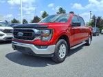 2023 F-150 Thumbnail 11