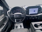 2023 F-150 Thumbnail 6