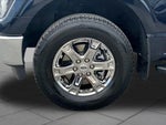 2023 F-150 Thumbnail 10