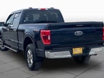 2023 F-150 Thumbnail 11