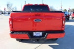 2023 F-150 Thumbnail 6
