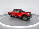 2023 F-150 Thumbnail 8