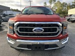 2023 F-150 Thumbnail 9