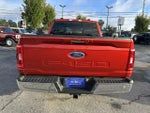 2023 F-150 Thumbnail 24