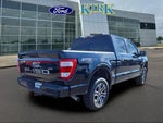 2023 F-150 Thumbnail 6