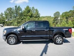 2023 F-150 Thumbnail 5
