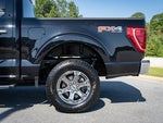 2023 F-150 Thumbnail 6
