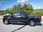 2023 F-150 Thumbnail 7