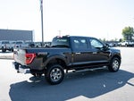 2023 F-150 Thumbnail 10
