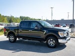 2023 F-150 Thumbnail 12