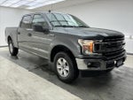 2019 F-150 Thumbnail 3