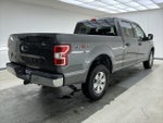 2019 F-150 Thumbnail 4