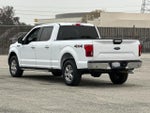 2020 F-150 Thumbnail 5