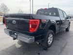 2021 F-150 Thumbnail 3