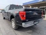 2021 F-150 Thumbnail 5