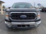 2021 F-150 Thumbnail 8