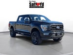 2021 F-150 Thumbnail 10