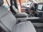 2021 F-150 Thumbnail 10