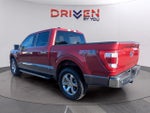 2021 F-150 Thumbnail 3