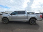 2021 F-150 Thumbnail 8