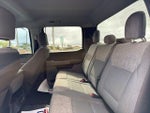 2021 F-150 Thumbnail 14