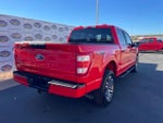 2021 F-150 Thumbnail 4