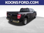 2022 F-150 Thumbnail 5