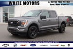 2022 F-150 Thumbnail 1