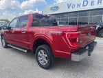 2022 F-150 Thumbnail 7