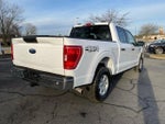 2022 F-150 Thumbnail 7