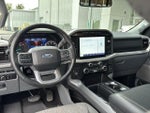 2022 F-150 Thumbnail 16