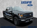 2023 F-150 Thumbnail 19