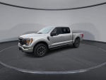 2023 F-150 Thumbnail 4