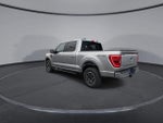 2023 F-150 Thumbnail 6