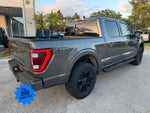2023 F-150 Thumbnail 4