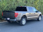 2023 F-150 Thumbnail 5