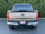 2023 F-150 Thumbnail 6