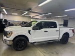 2023 F-150 Thumbnail 4