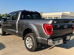 2023 F-150 Thumbnail 4