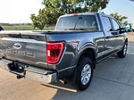 2023 F-150 Thumbnail 6