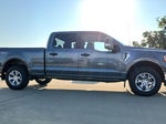 2023 F-150 Thumbnail 7
