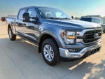 2023 F-150 Thumbnail 8